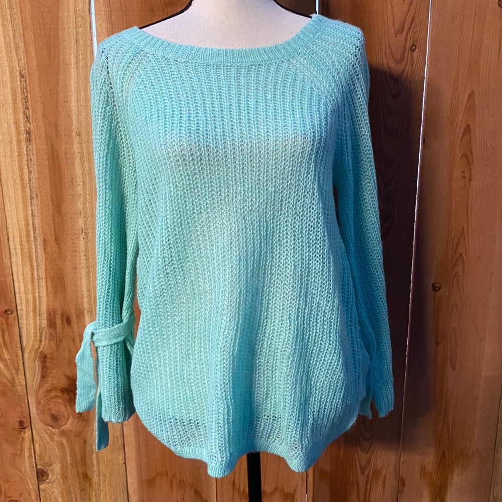 Project Naadam knit sweater tie sleeves mint sheer